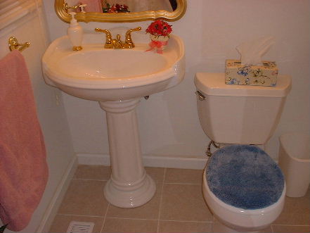 Pedestal sink and ceramic tile